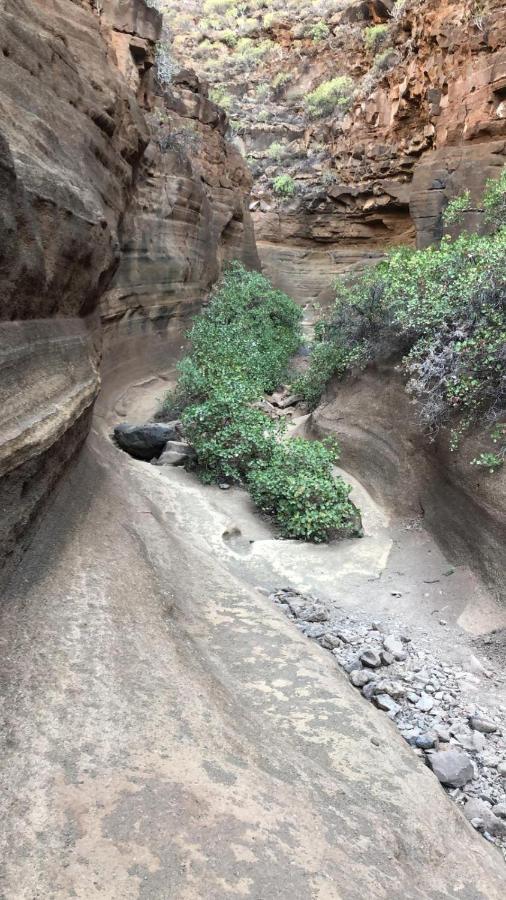 La Cuadra Finca El Calabres Agüimes Εξωτερικό φωτογραφία