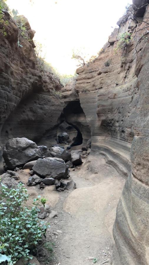 La Cuadra Finca El Calabres Agüimes Εξωτερικό φωτογραφία
