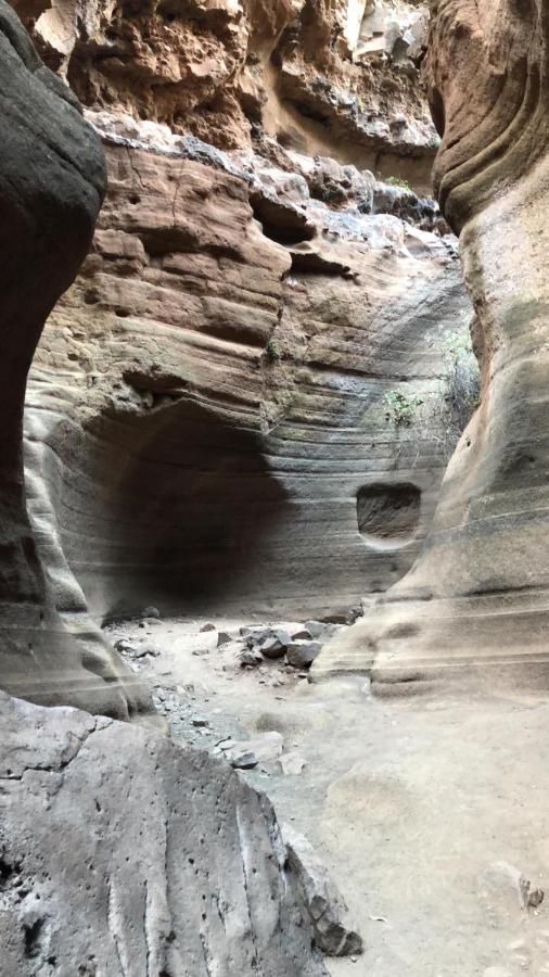 La Cuadra Finca El Calabres Agüimes Εξωτερικό φωτογραφία