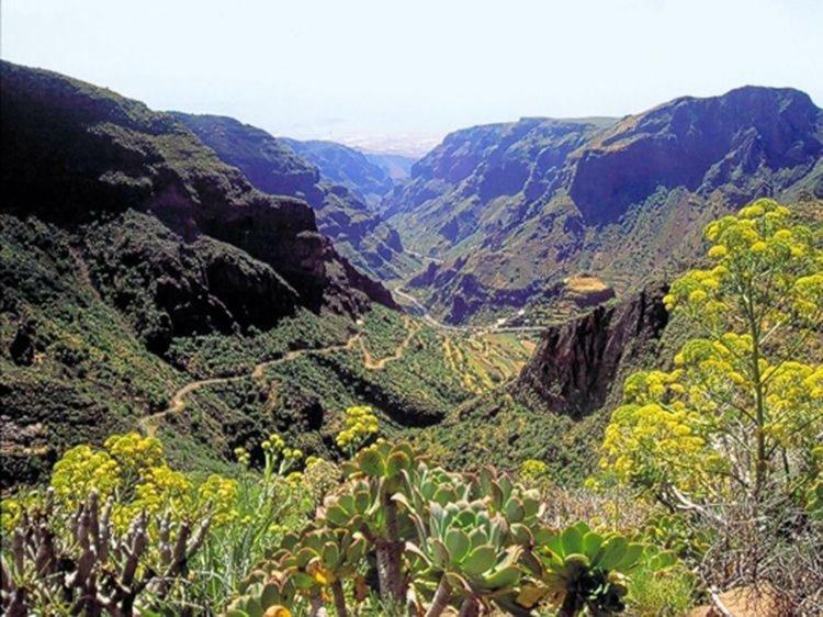 La Cuadra Finca El Calabres Agüimes Εξωτερικό φωτογραφία
